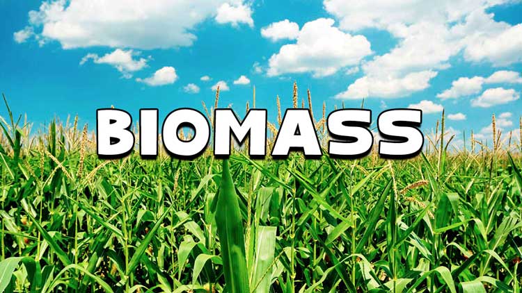 biomass