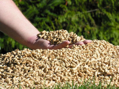 Estimation of global industrial wood pellet mill market: demand and price in the future