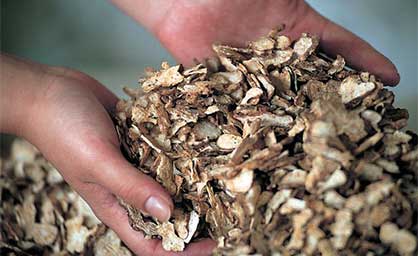 seive impurities in wood materials