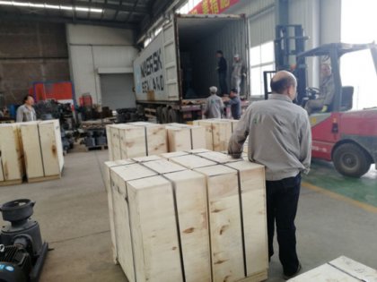 ZLSP 200B electric motor pellet machine shipped to India