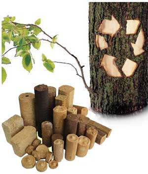 advantages of biomass briquettes
