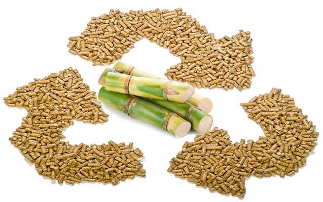 bagasse pellet
