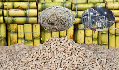bagasse pellet for sugar refinery boiler