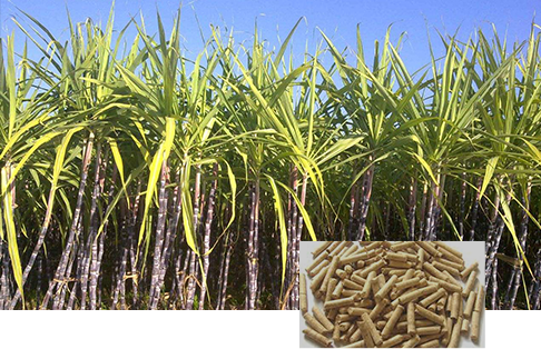 bagasse pellet press for sale