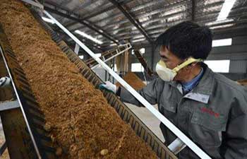 bioenergy utilization in china