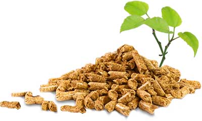 Biofuel Pellet Machine is Future Of the World!