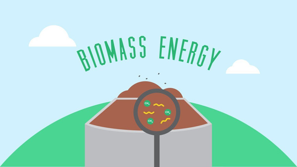 biomass energy feature