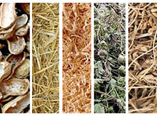 homemade pellet press raw material