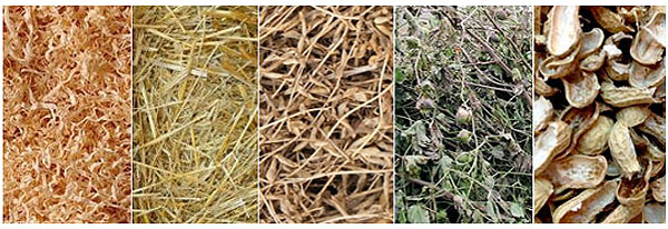 biomass pelelts raw materials