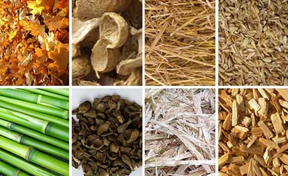 collect wood materials