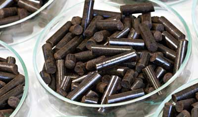 carbonized bagasse pellets