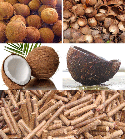 coconut shell pellets
