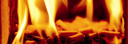 EFB pellets are efficient biomass energy