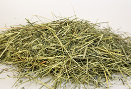 green hay preserves the grass nutrition