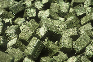 hay pellets and briquettes