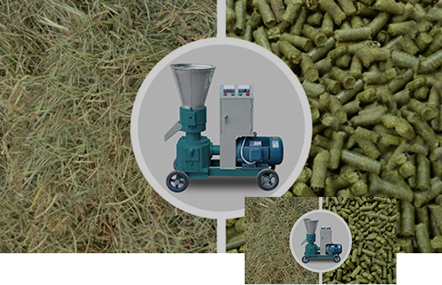 mini pellet press for sale