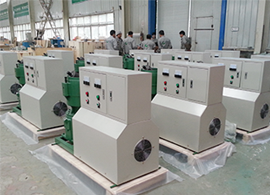 Pelletizing machine supplier
