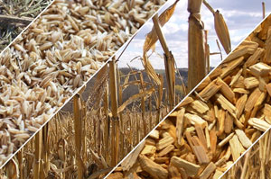 raw materials for mobile pellet making machine