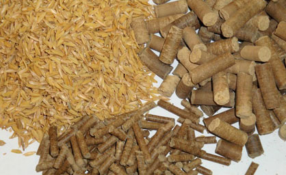 rice husk and rice husk pellets
