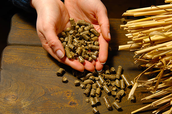 Problems encountered in the production of straw pellet machine and solutions