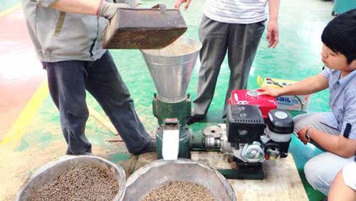 testing GEMCO gasoline pellet press