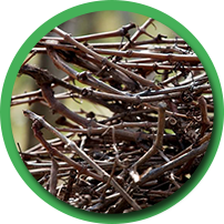 waste wood materials