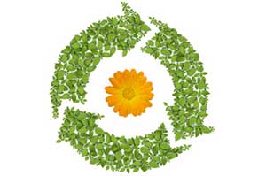 what is biomass recycling